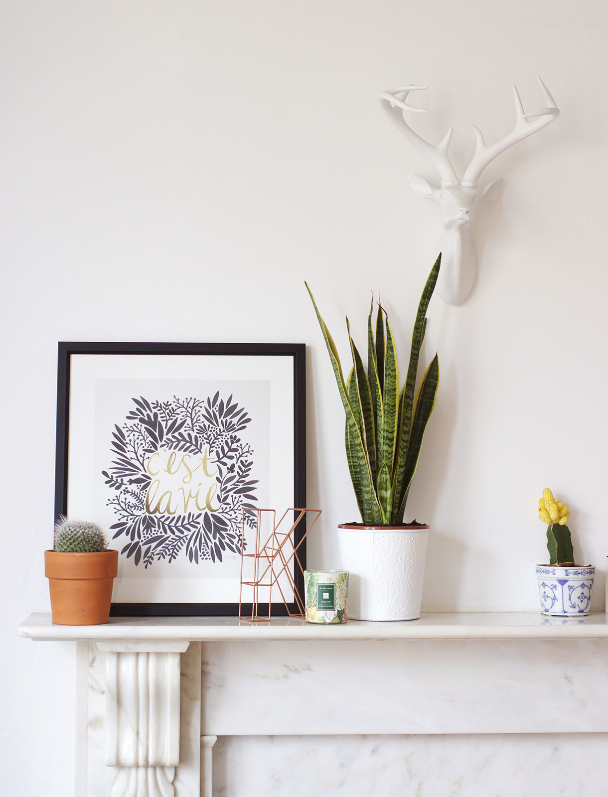 Adding Greenery In To Your Home.