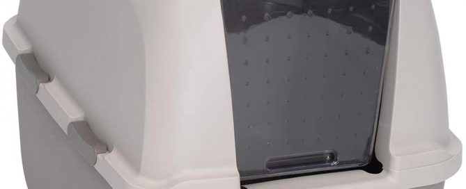 Best Litter Box For Large Cat