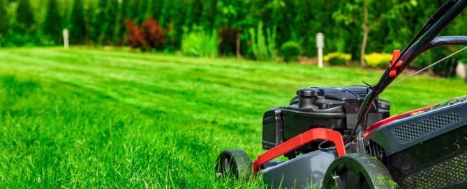 best Lawn Mower for Bermuda Grass