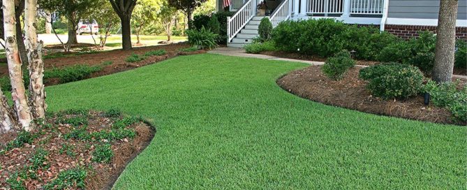 Reel Mower for Bermuda Grass