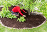 How Much Does 2 Cubic Feet of Mulch Weigh