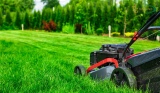Best Lawn Mower for Bermuda Grass