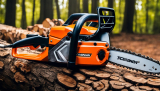 Unearthing the Best Chainsaw for the Money: My Top Picks
