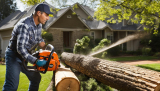 Unearthing the Best Chainsaws for Homeowners: A Comprehensive Guide