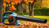 Exploring the Best Cordless Electric Leaf Blower Options