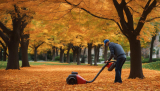 Uncover the Best Leaf Blower Vacuum Mulcher: My Top Picks