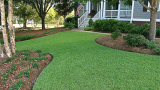 Reel Mower for Bermuda Grass